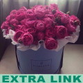Productos de gama alta de venta agradable Bonita caja de flor de estilo ecológico